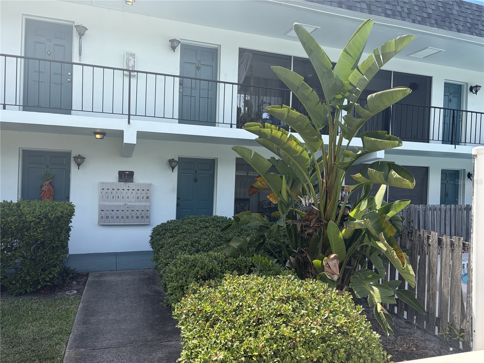 1485 Lakeview Road #5 Clearwater FL 33756 TB8501689 image2