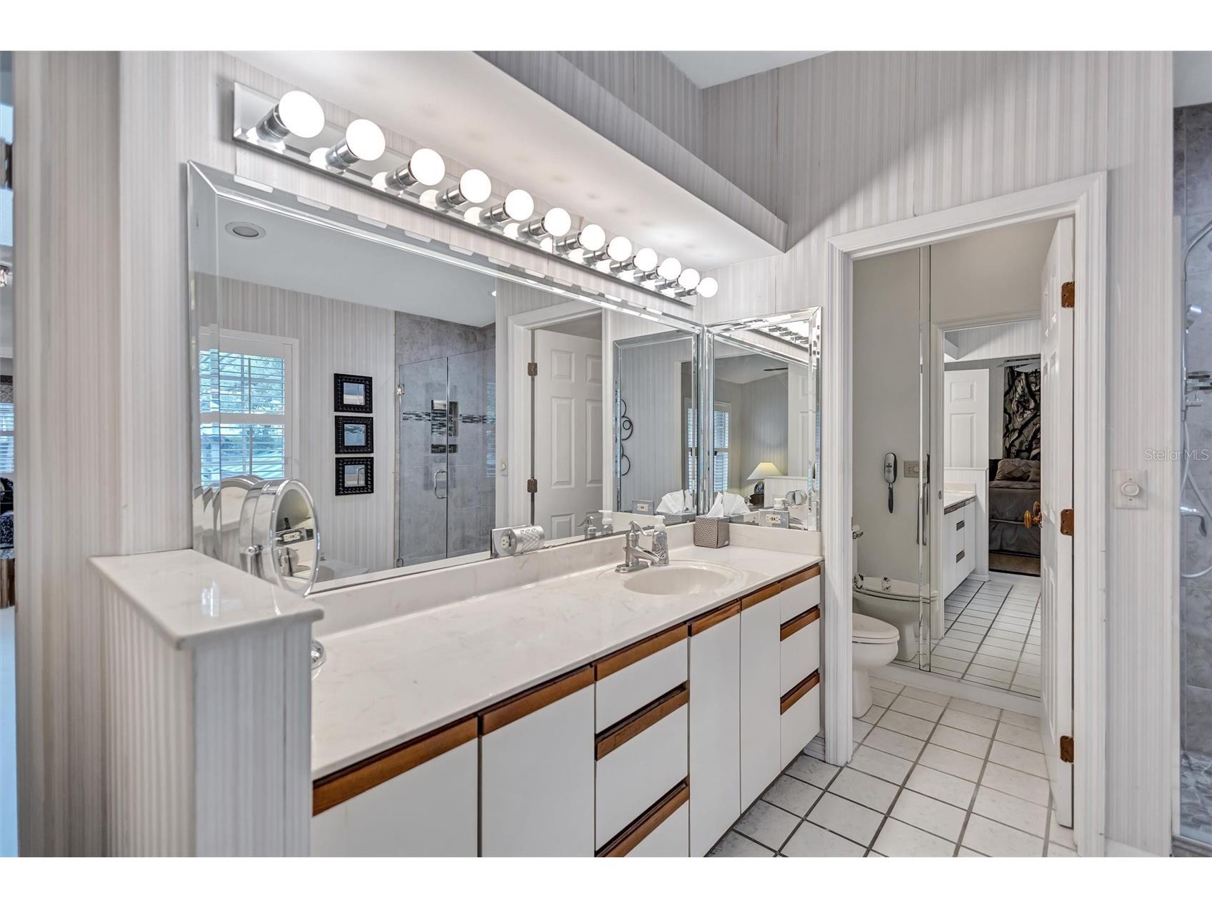 1485 Mahogany Lane #1602 Palm Harbor FL 34683 TB8511283 image37