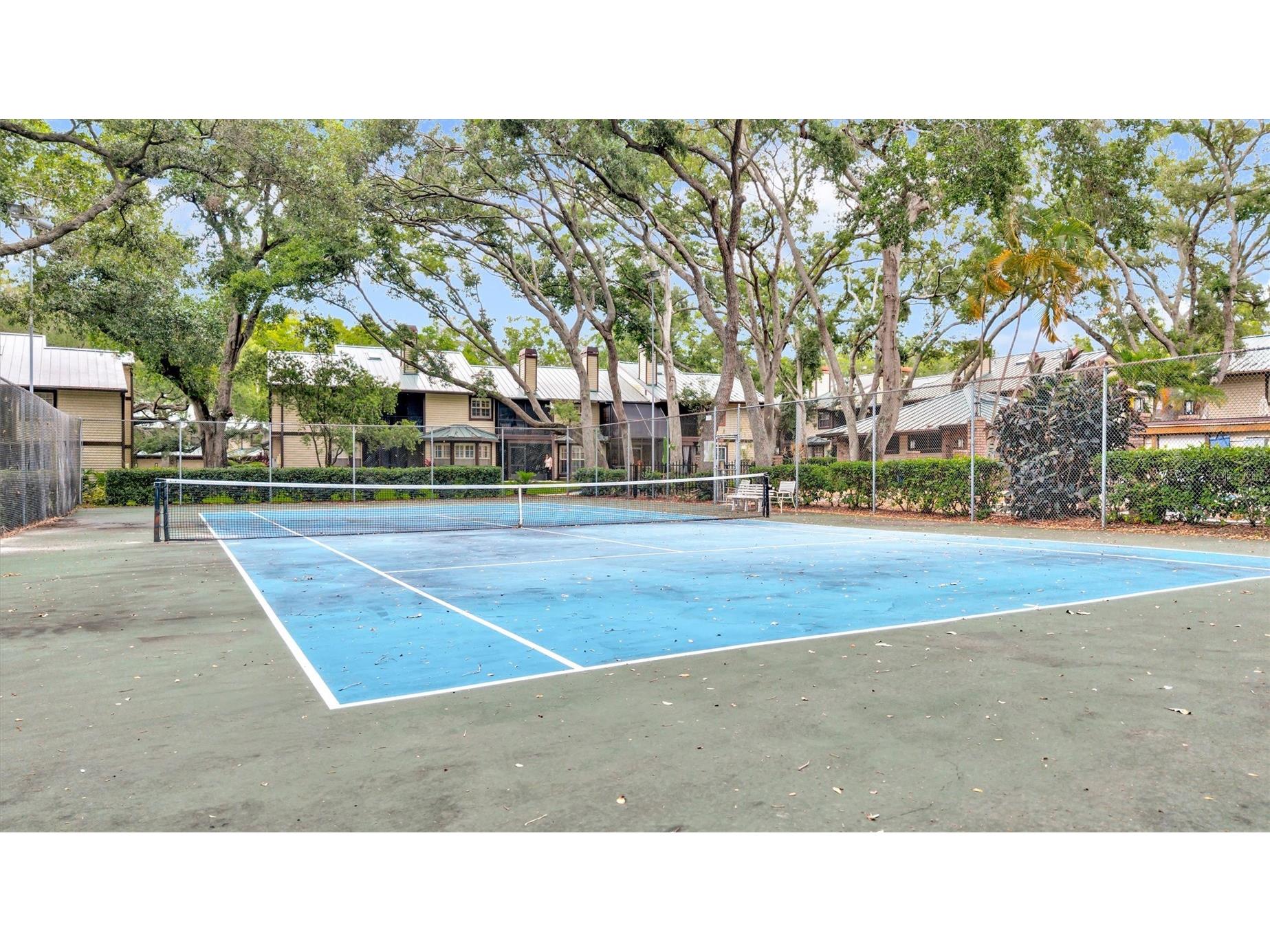 1485 Mahogany Lane #1602 Palm Harbor FL 34683 TB8511283 image55