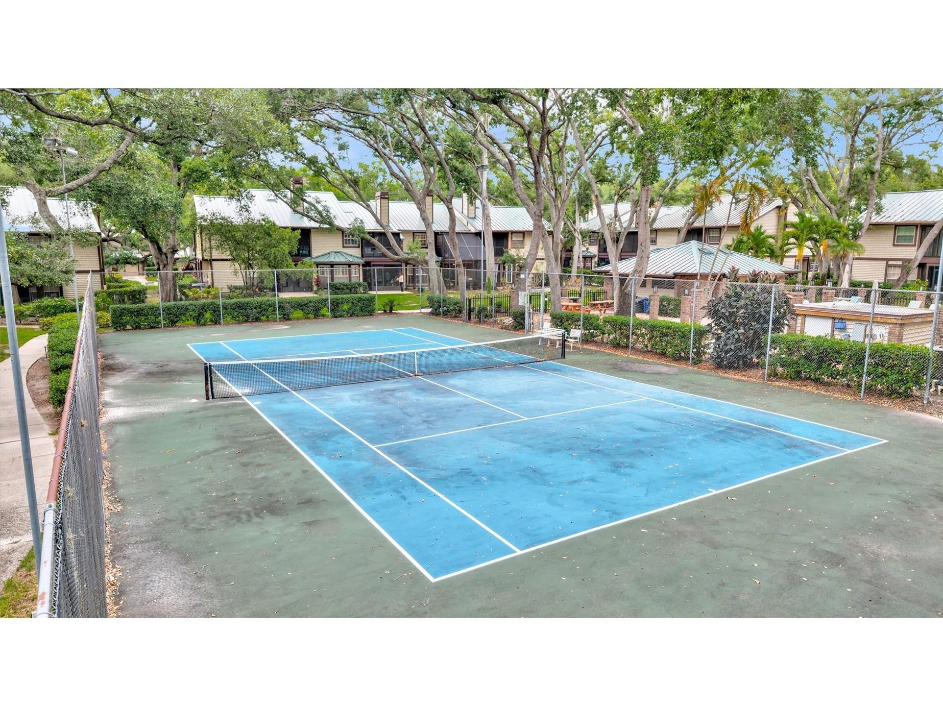 1485 Mahogany Lane #1602 Palm Harbor FL 34683 TB8511283 image56
