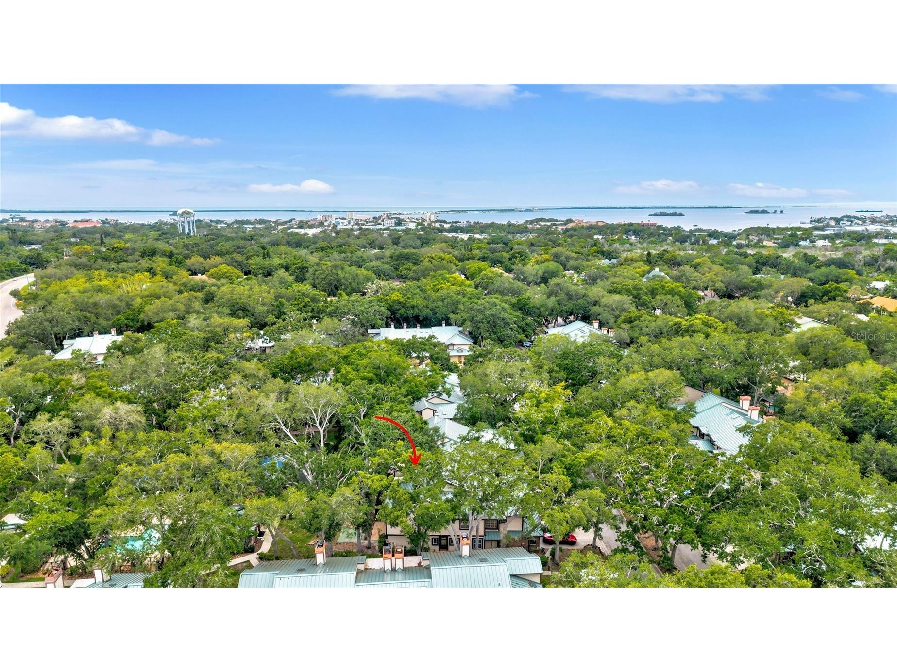 1485 Mahogany Lane #1602 Palm Harbor FL 34683 TB8511283 image63