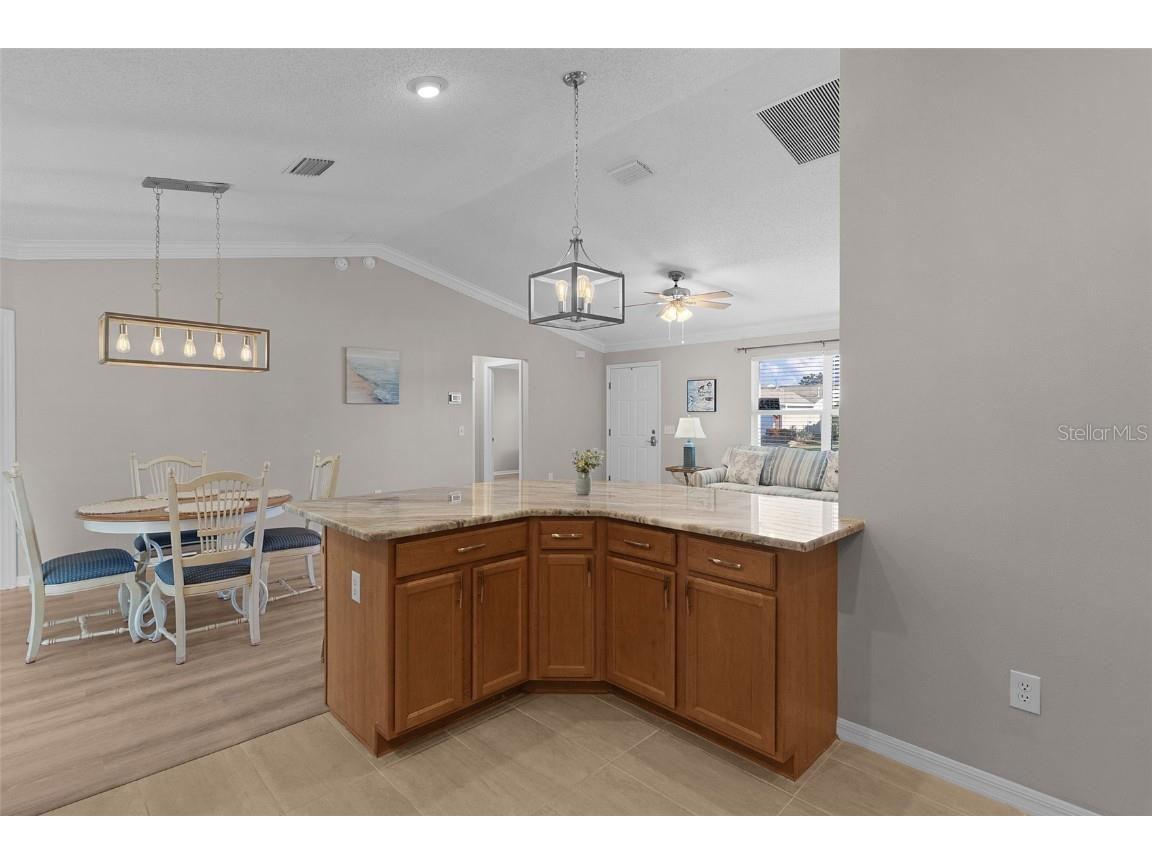 1485 Murrells Inlet Loop The Villages FL 32162 R4909863 image11