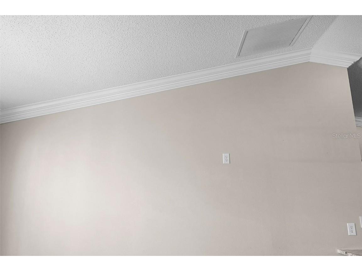 1485 Murrells Inlet Loop The Villages FL 32162 R4909863 image21