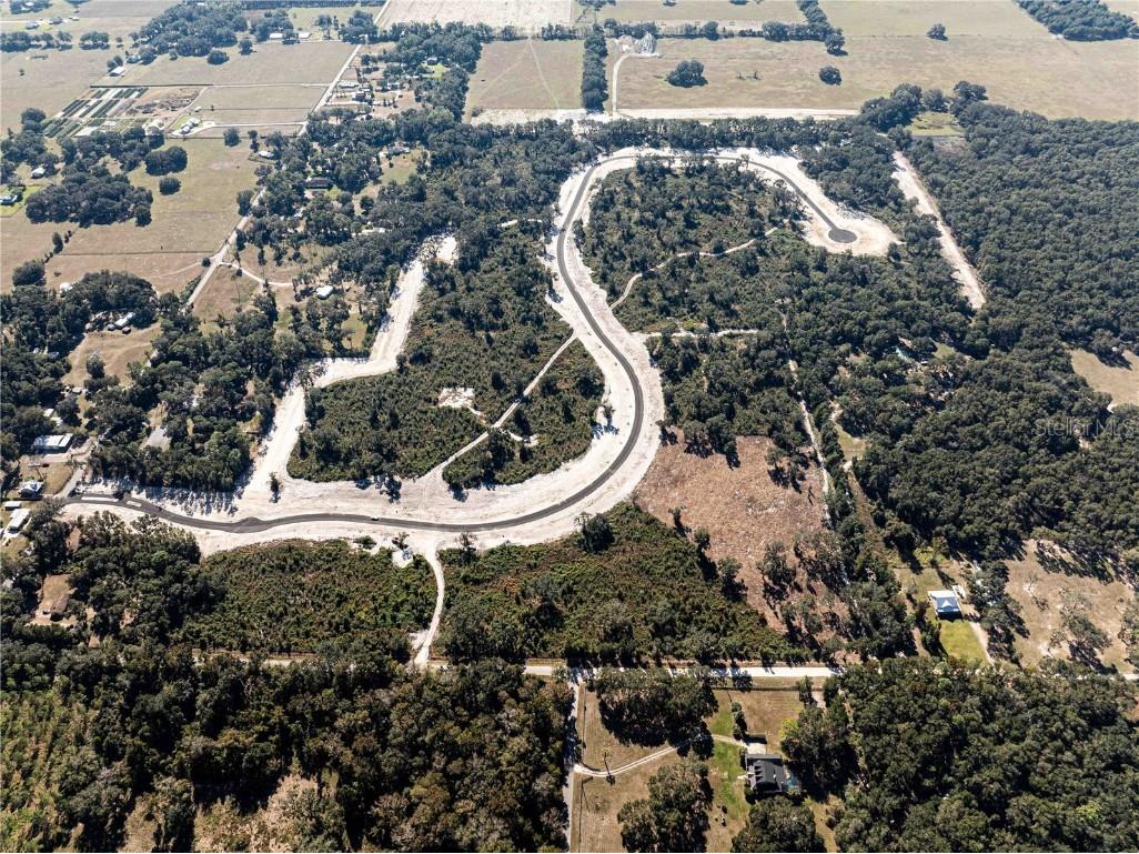 1485 Oxford Preserve Trl Oxford FL 34484 G5093737 image10