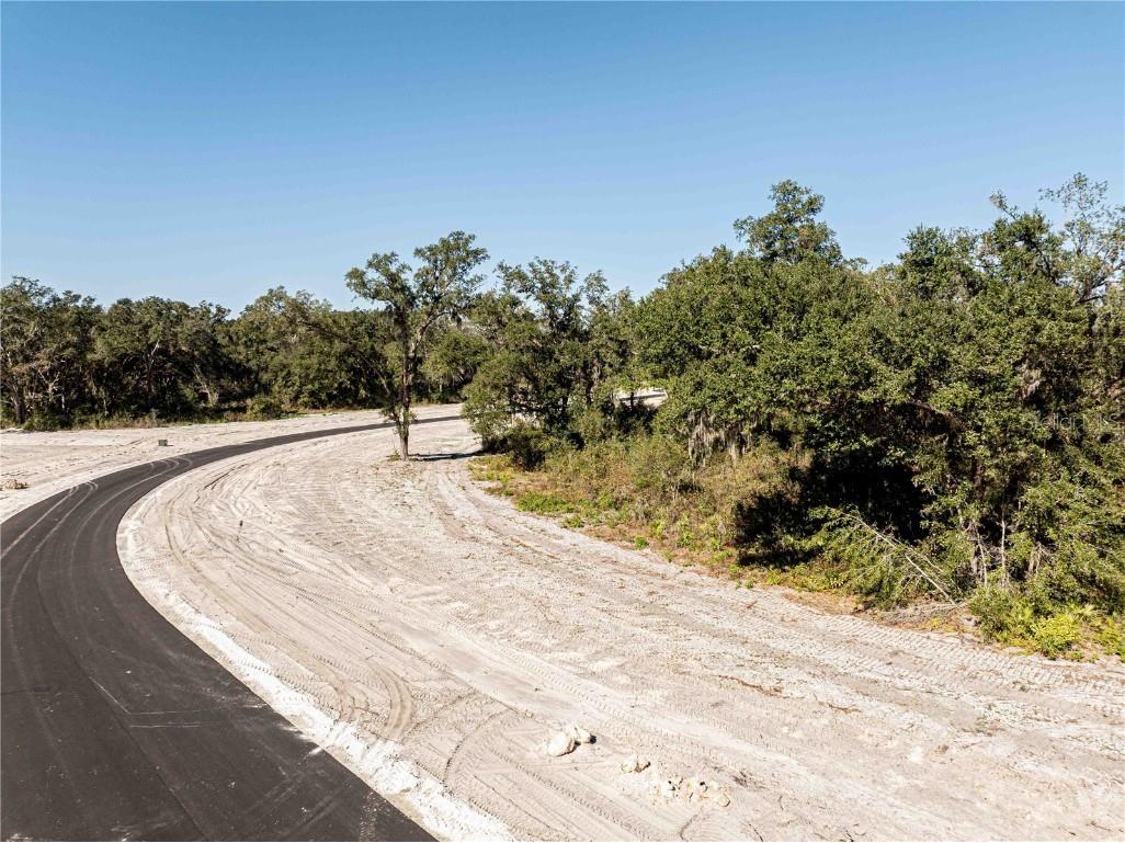 1485 Oxford Preserve Trl Oxford FL 34484 G5093737 image15