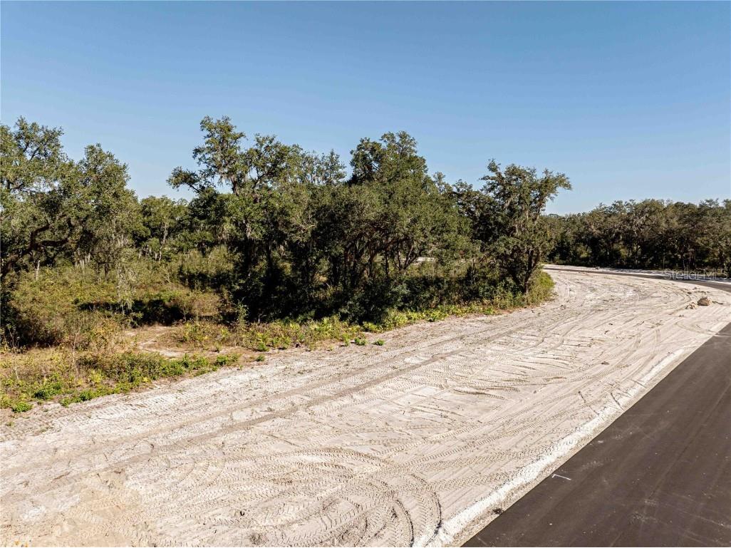 1485 Oxford Preserve Trl Oxford FL 34484 G5093737 image16