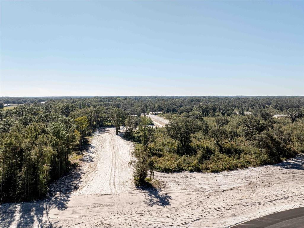 1485 Oxford Preserve Trl Oxford FL 34484 G5093737 image19