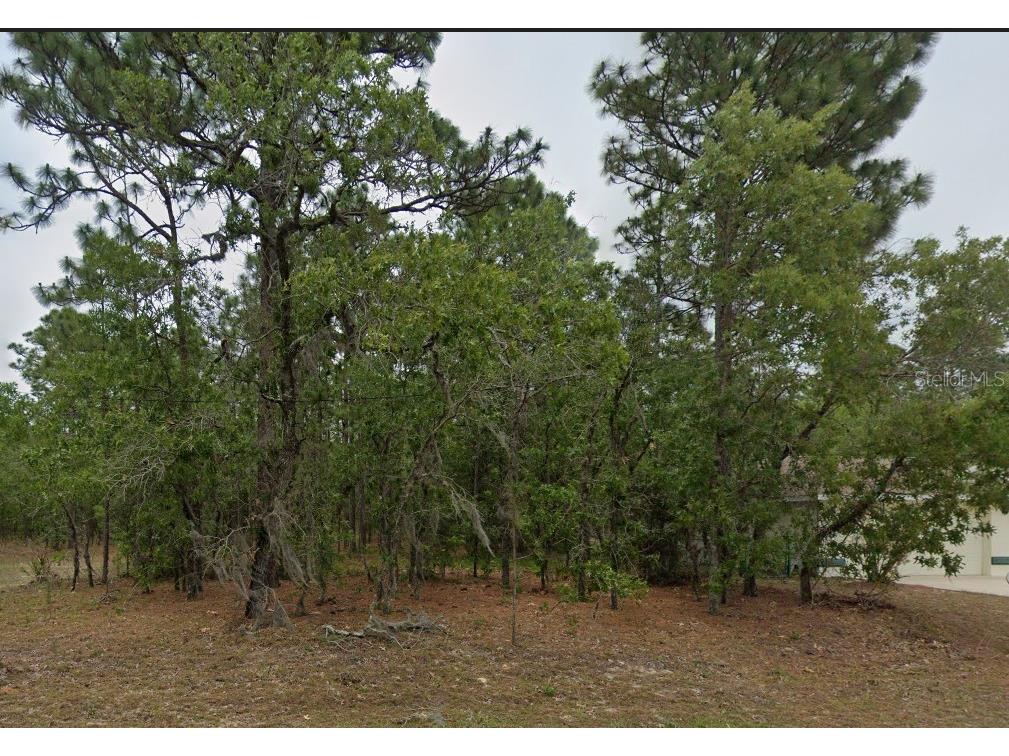 1485 W Lamplighter Street Citrus Springs FL 34434 OM712882 image1