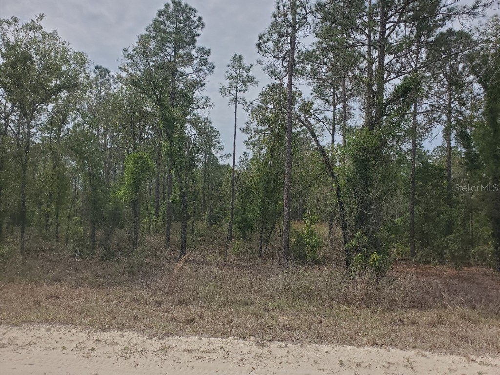 14850 SE 5th Place Williston FL 32696 OM656944 image1