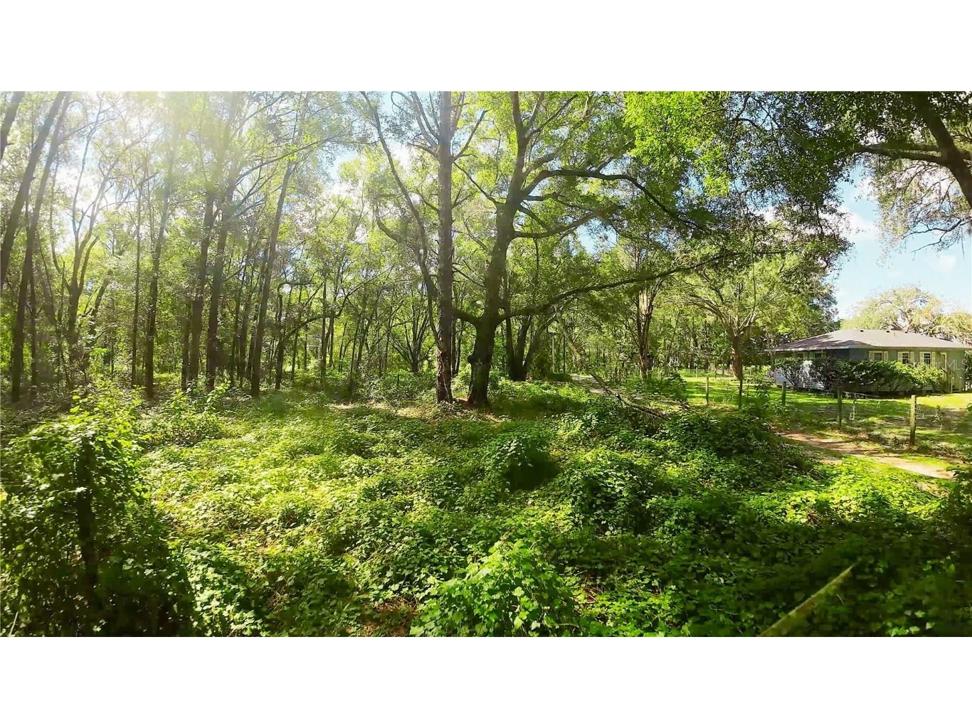 14850 SW 119th Court Dunnellon FL 34432 TB8420800 image4