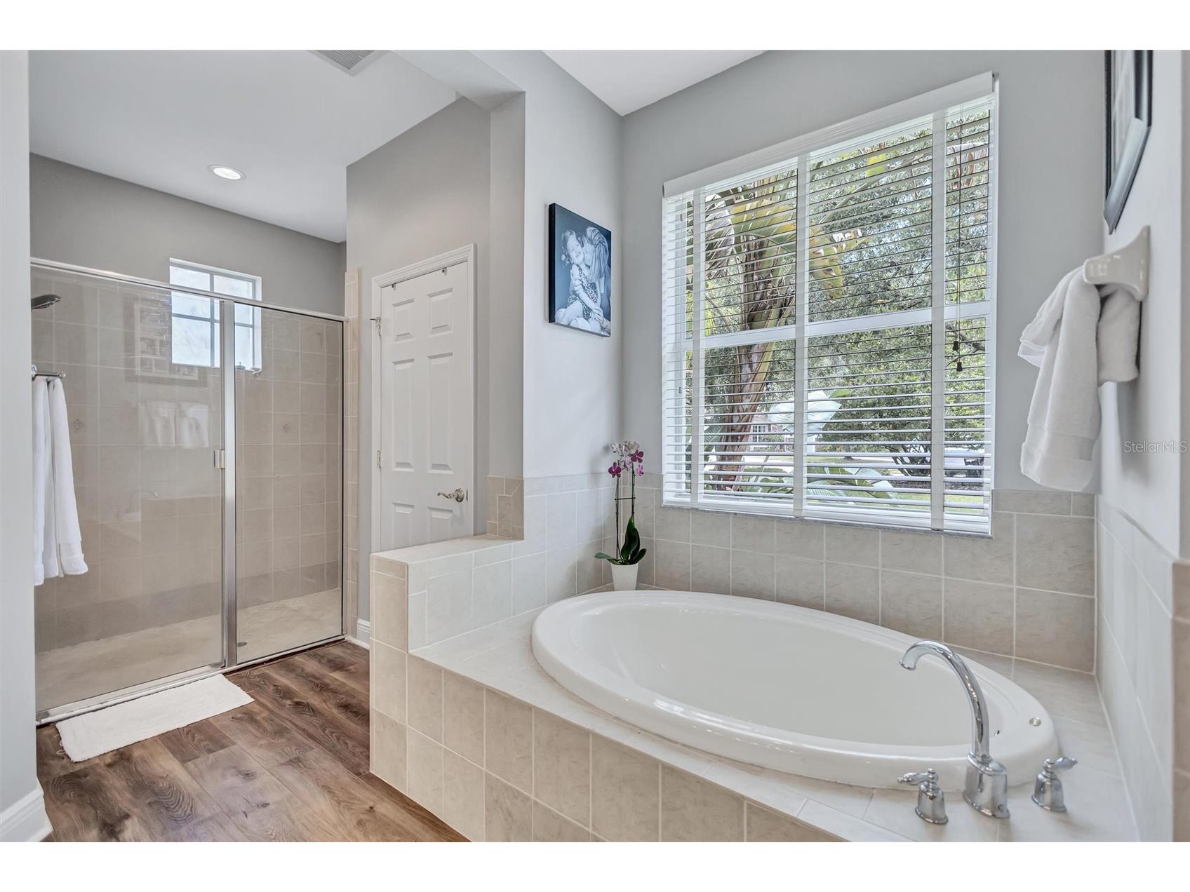 14852 Tudor Chase Drive Tampa FL 33626 TB8522284 image24