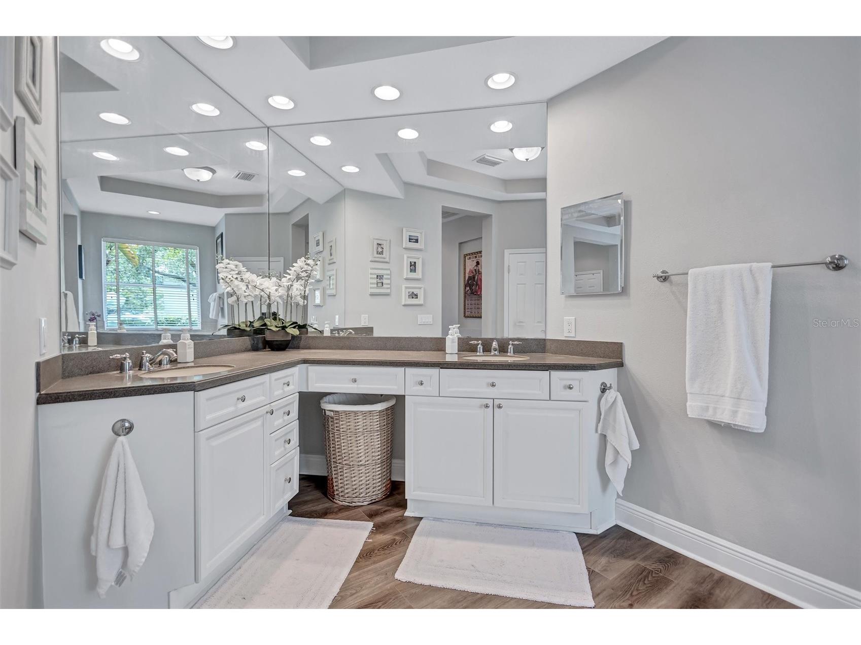 14852 Tudor Chase Drive Tampa FL 33626 TB8522284 image25