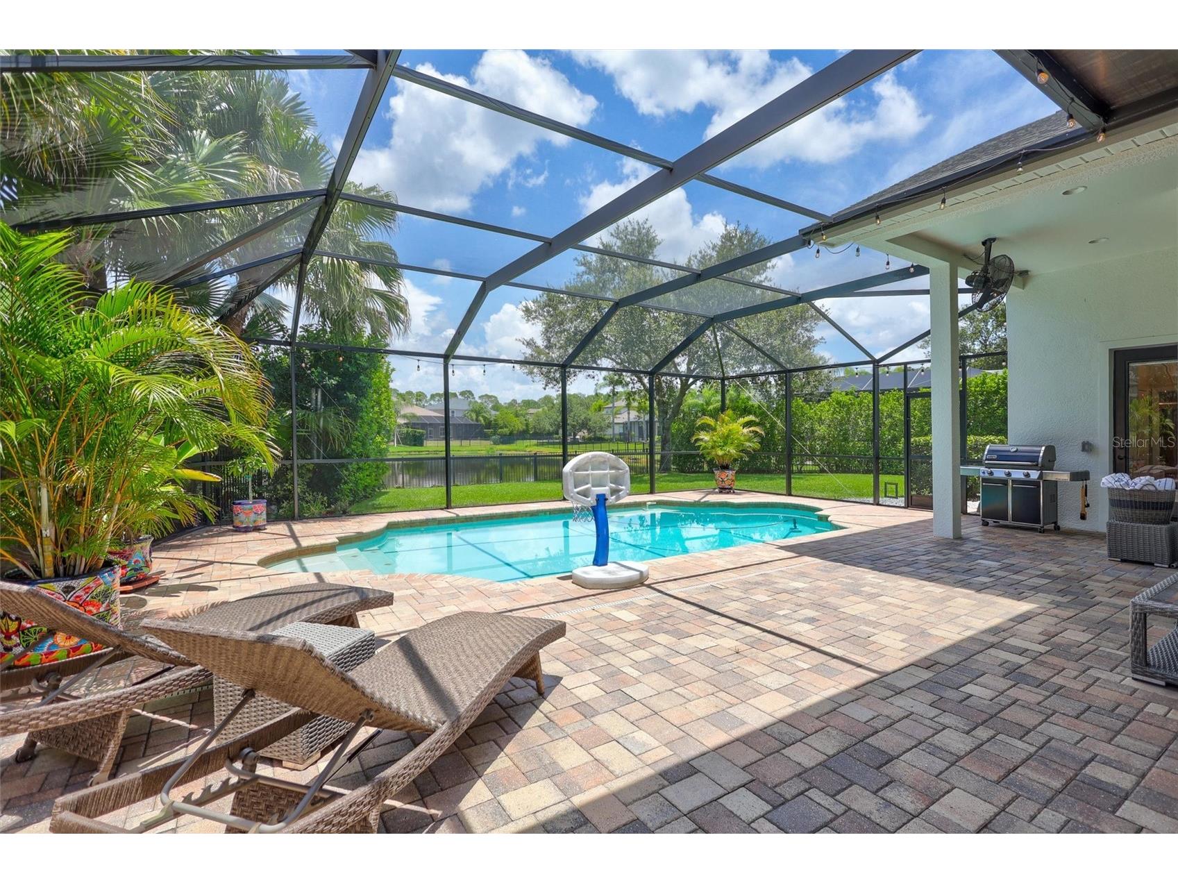 14852 Tudor Chase Drive Tampa FL 33626 TB8522284 image40