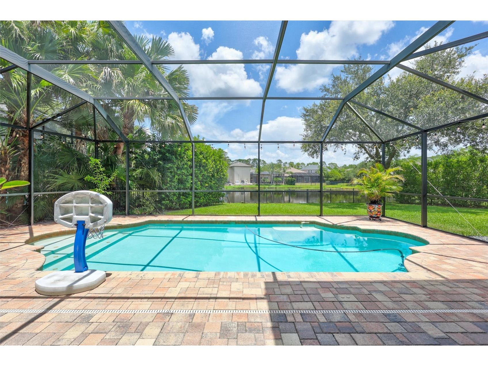 14852 Tudor Chase Drive Tampa FL 33626 TB8522284 image41