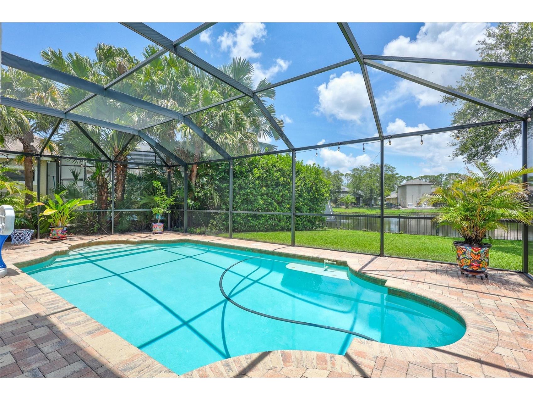 14852 Tudor Chase Drive Tampa FL 33626 TB8522284 image42