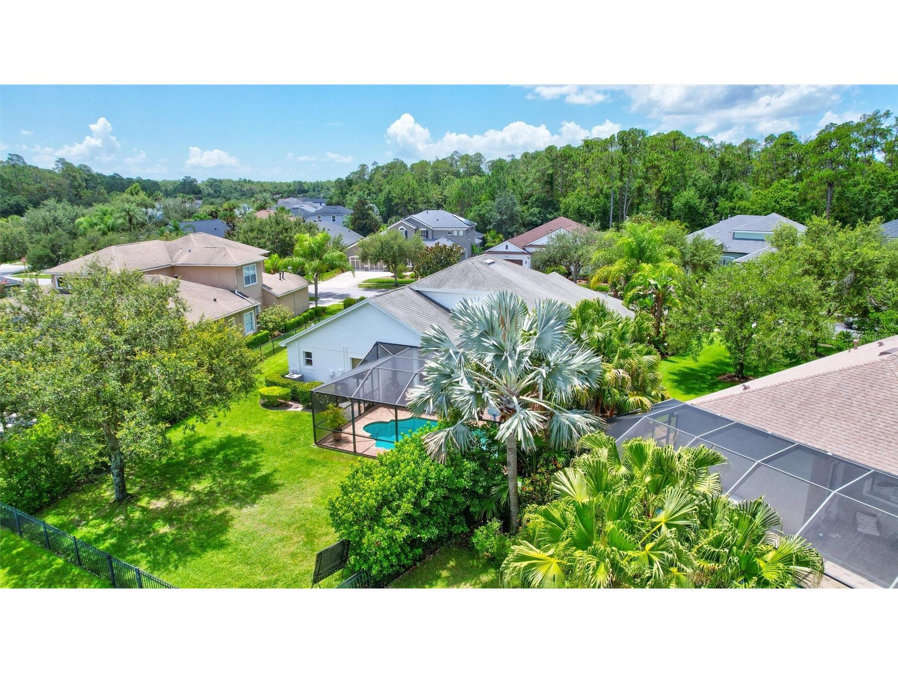 14852 Tudor Chase Drive Tampa FL 33626 TB8522284 image48