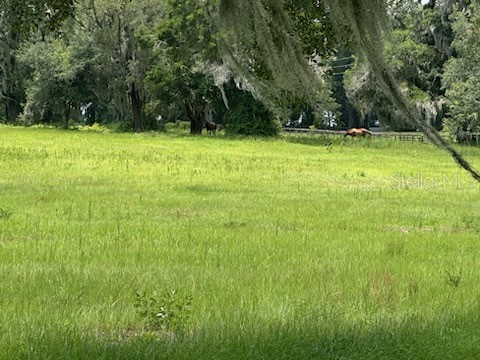 14854 NE Jacksonville Road Citra FL 32113 OM726872 image4