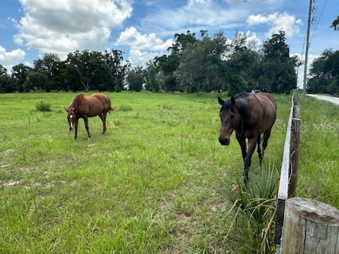 14854 NE Jacksonville Road Citra FL 32113 OM726872 image6