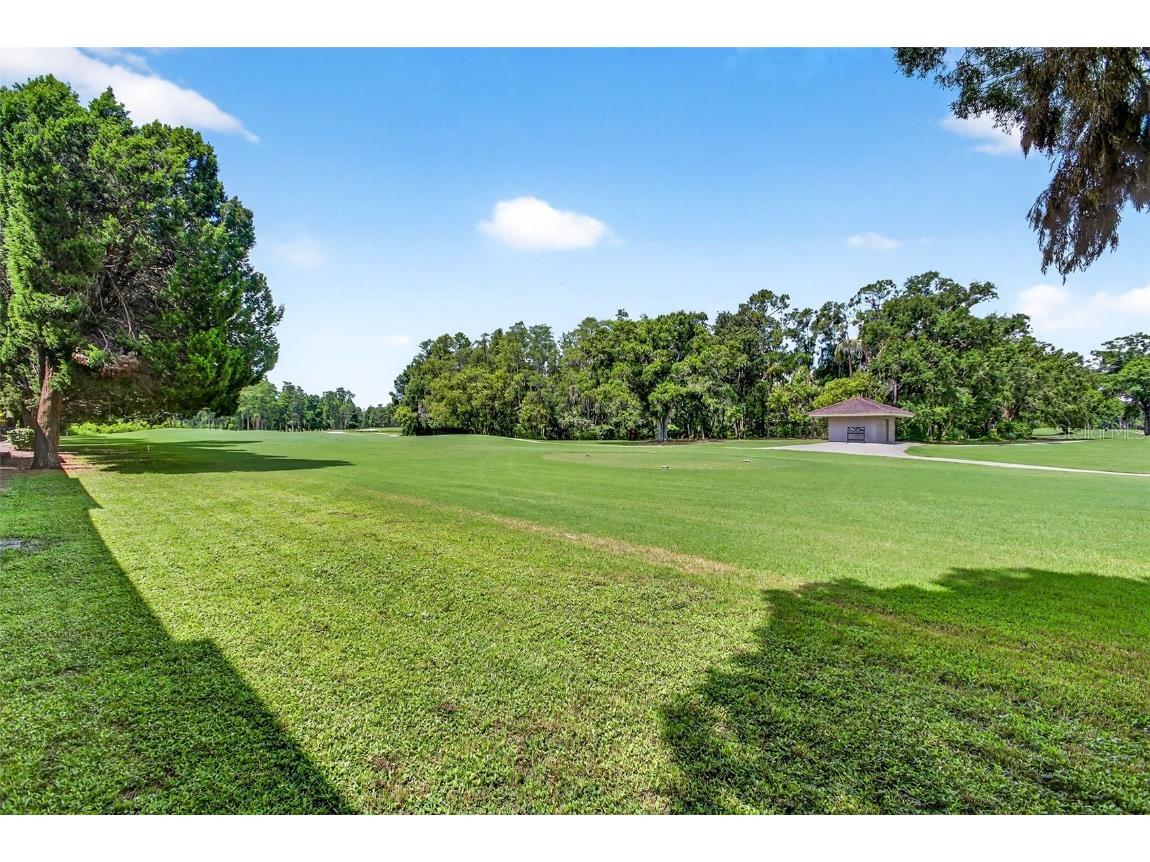 14856 Par Club Circle #14856 Tampa FL 33618 TB8378450 image33