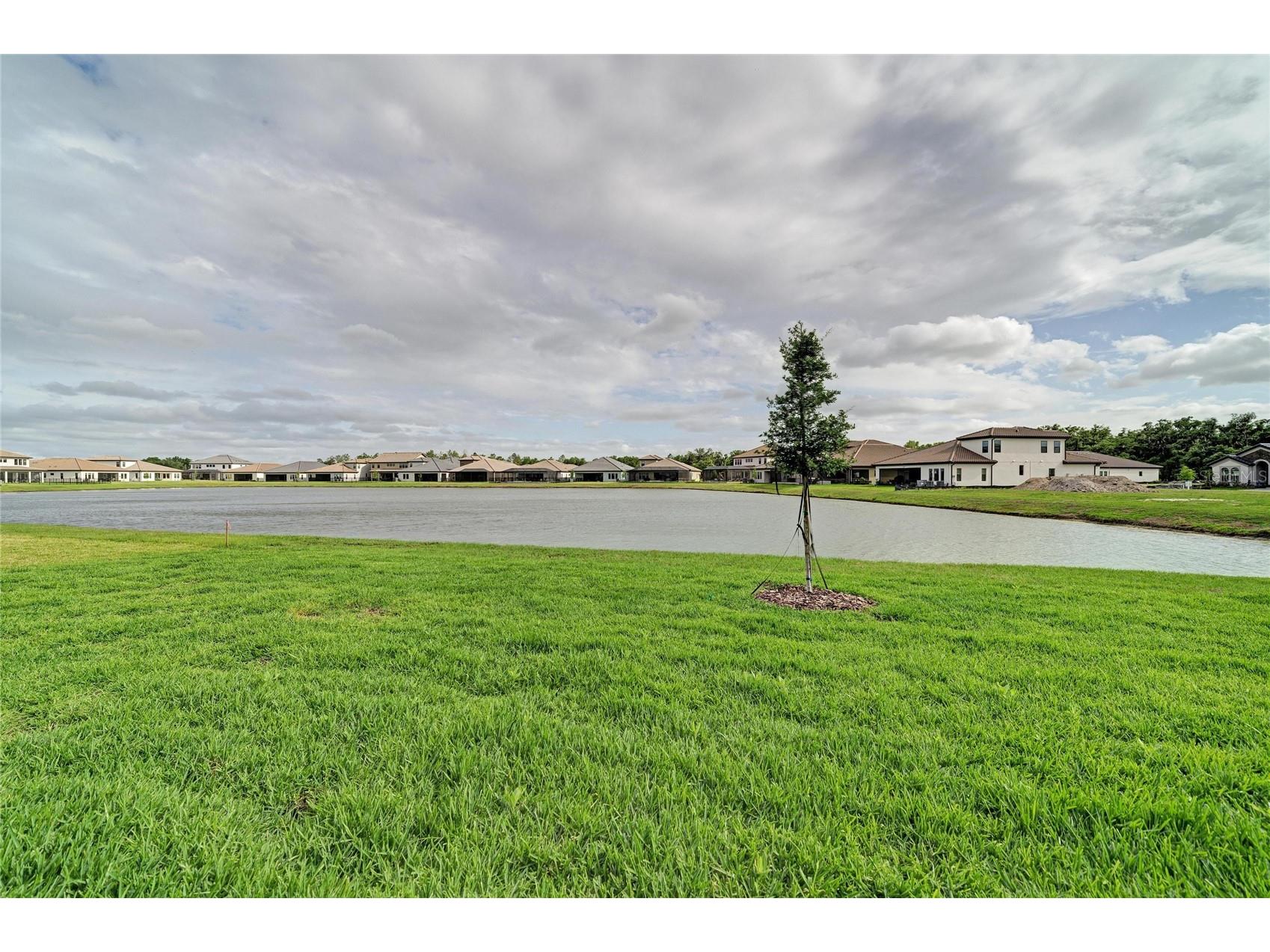 14857 Rider Pass Drive Lithia FL 33547 TB8474161 image39