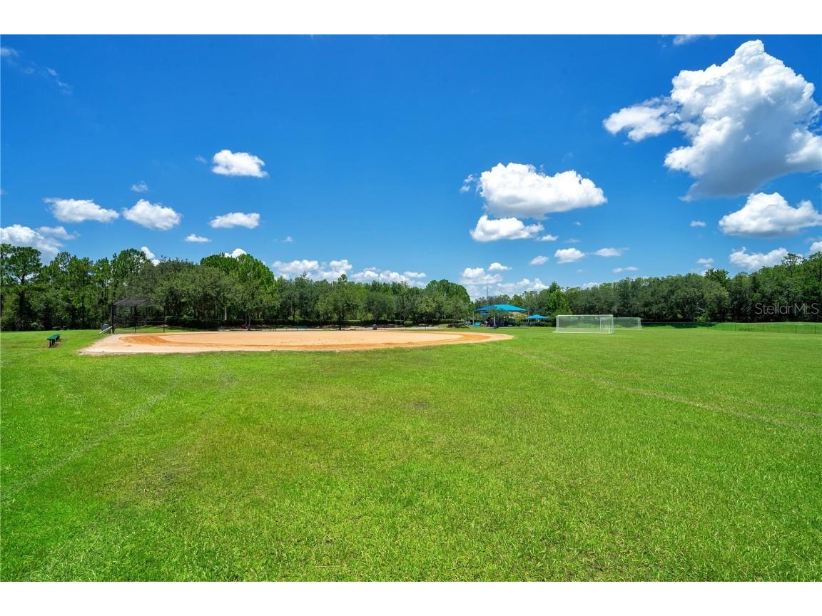 14858 Huntley Drive Orlando FL 32828 O6360928 image61