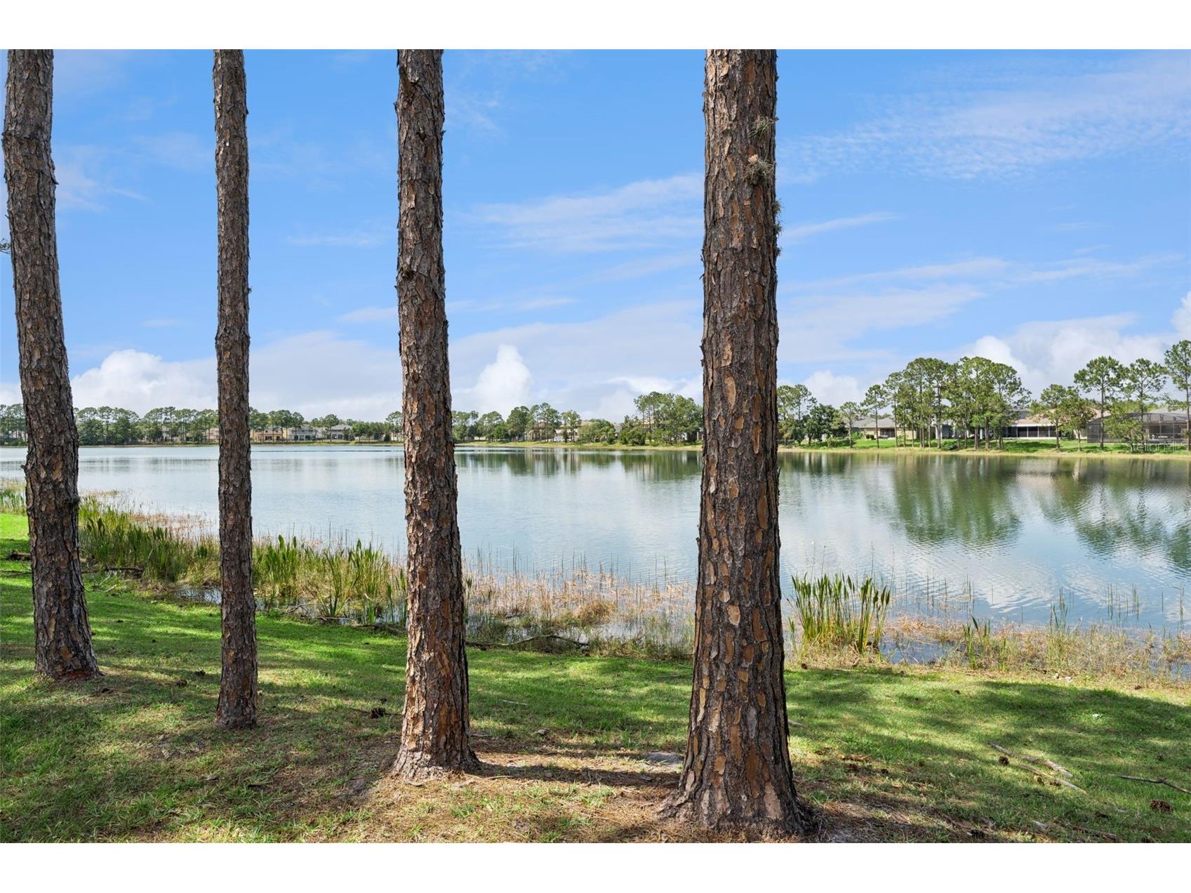 14868 Cableshire Way Orlando FL 32824 O6403154 image36