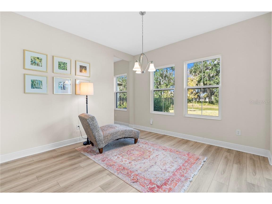 14868 Summer Branch Drive Lithia FL 33547 TB8438610 image19