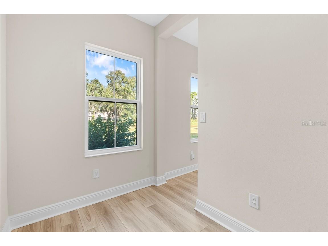 14868 Summer Branch Drive Lithia FL 33547 TB8438610 image22