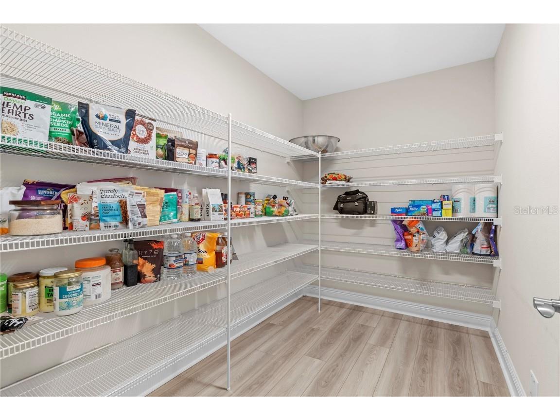 14868 Summer Branch Drive Lithia FL 33547 TB8438610 image25