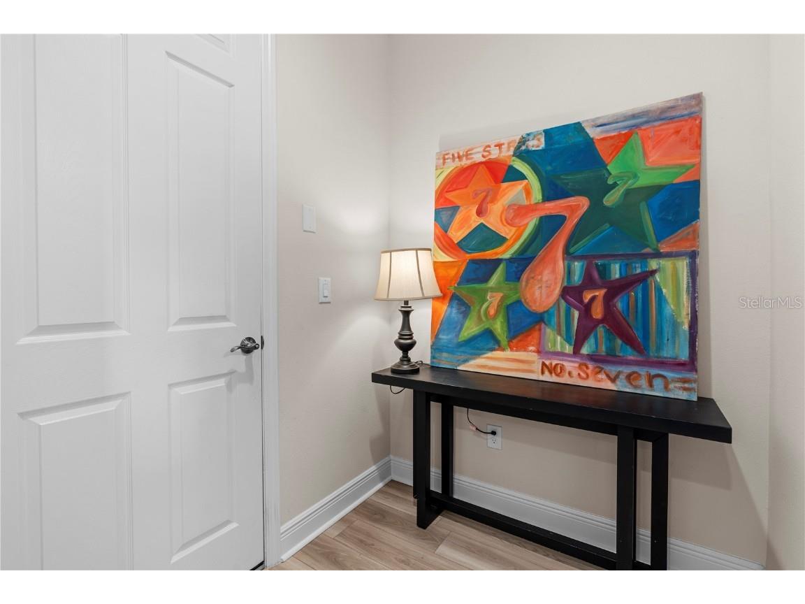 14868 Summer Branch Drive Lithia FL 33547 TB8438610 image26