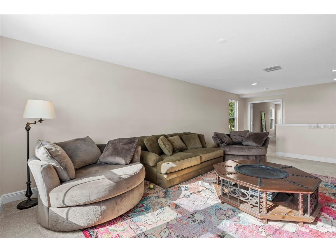 14868 Summer Branch Drive Lithia FL 33547 TB8438610 image33