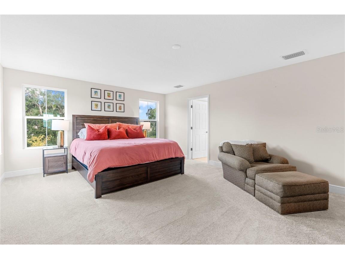 14868 Summer Branch Drive Lithia FL 33547 TB8438610 image34