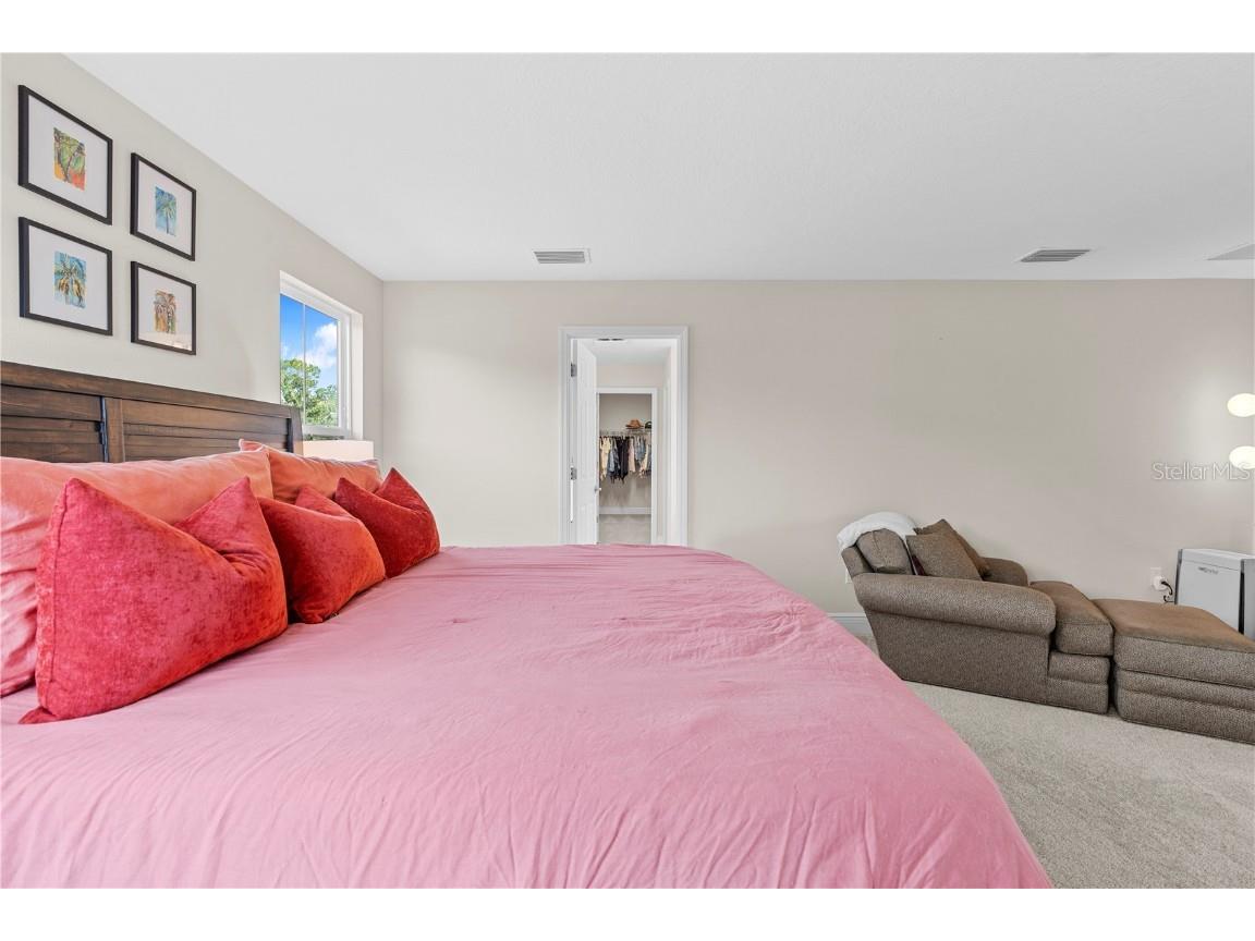 14868 Summer Branch Drive Lithia FL 33547 TB8438610 image36