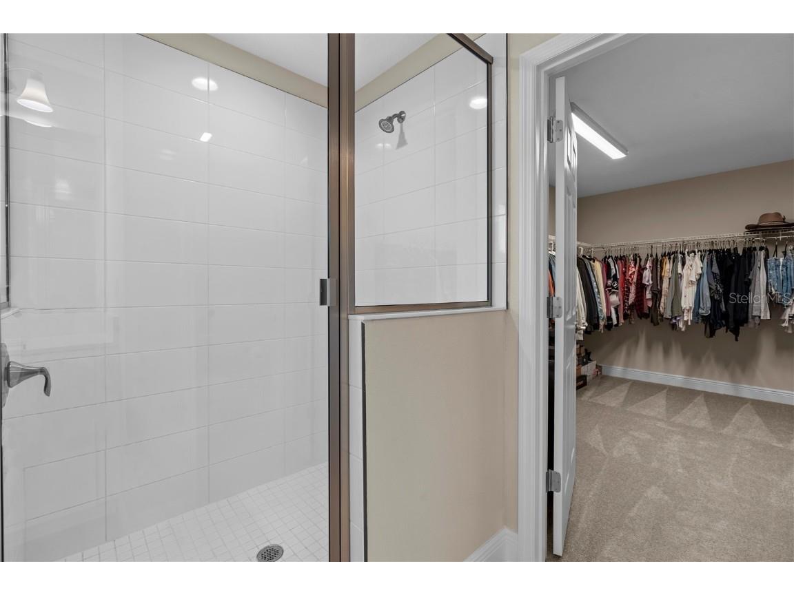 14868 Summer Branch Drive Lithia FL 33547 TB8438610 image41