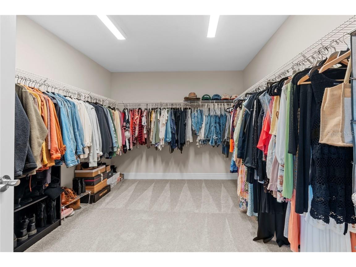 14868 Summer Branch Drive Lithia FL 33547 TB8438610 image42