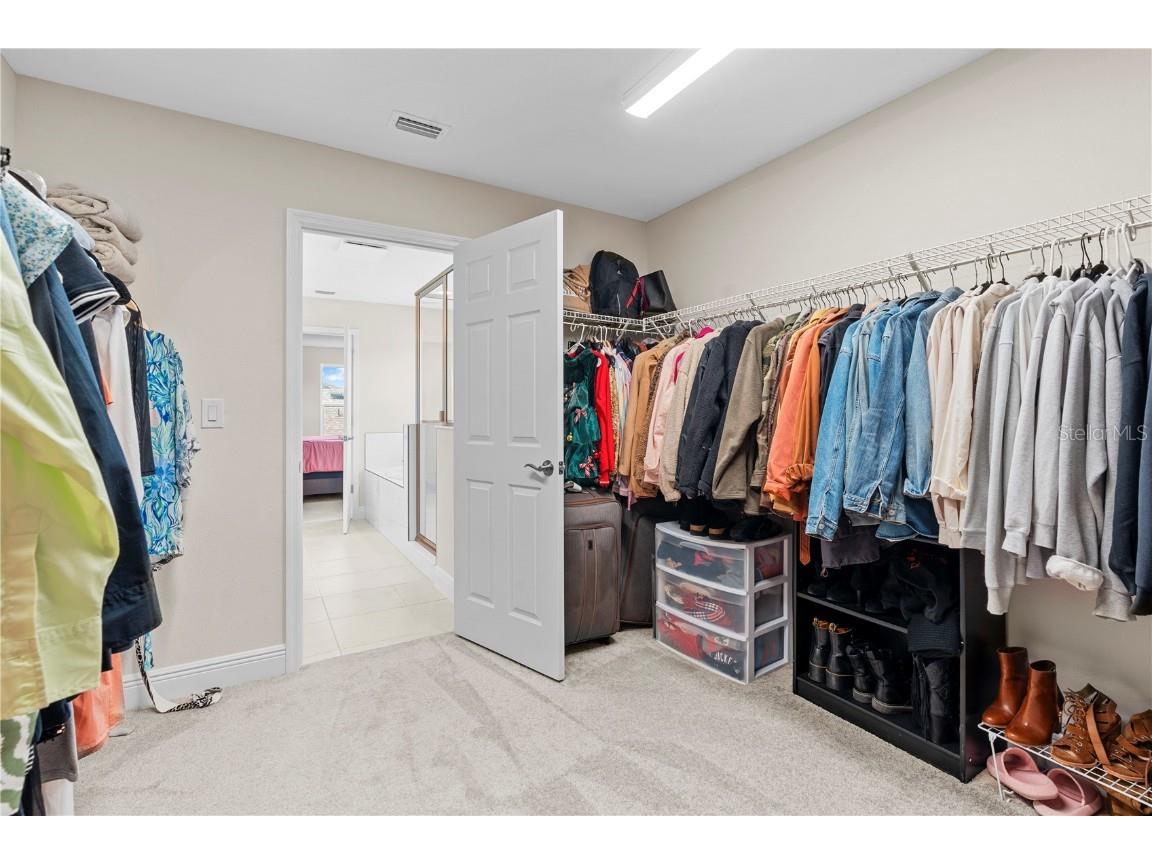 14868 Summer Branch Drive Lithia FL 33547 TB8438610 image43