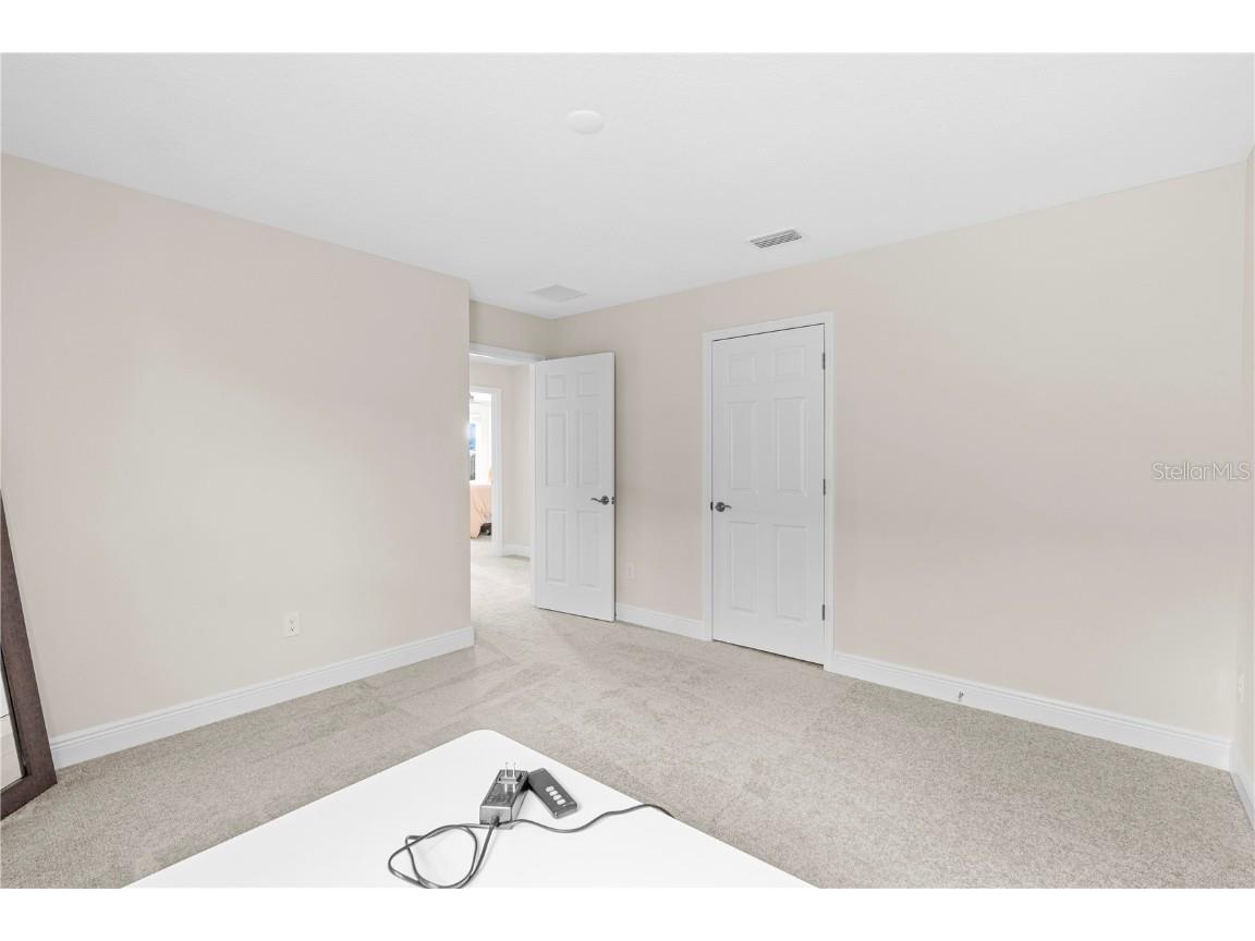 14868 Summer Branch Drive Lithia FL 33547 TB8438610 image46