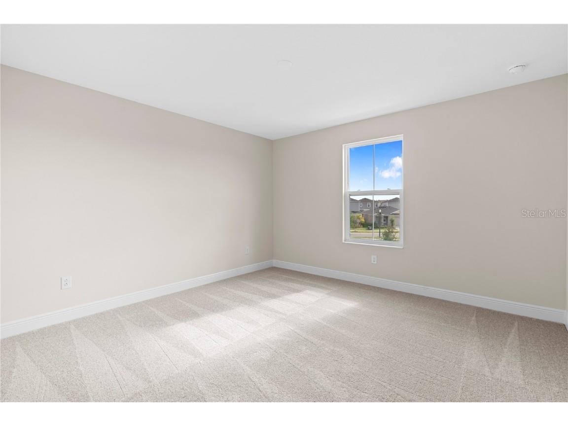 14868 Summer Branch Drive Lithia FL 33547 TB8438610 image50