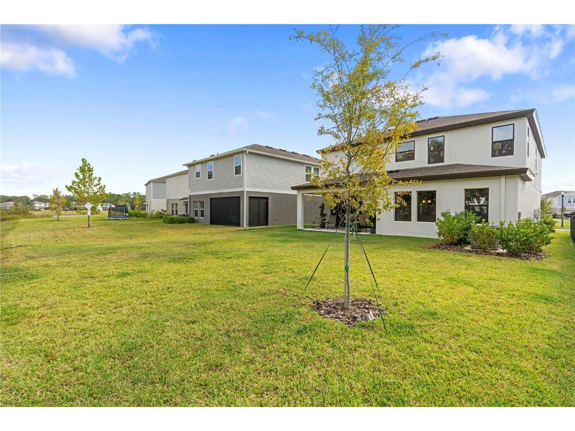 14868 Summer Branch Drive Lithia FL 33547 TB8438610 image56