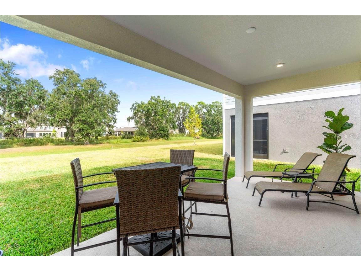 14868 Summer Branch Drive Lithia FL 33547 TB8438610 image59