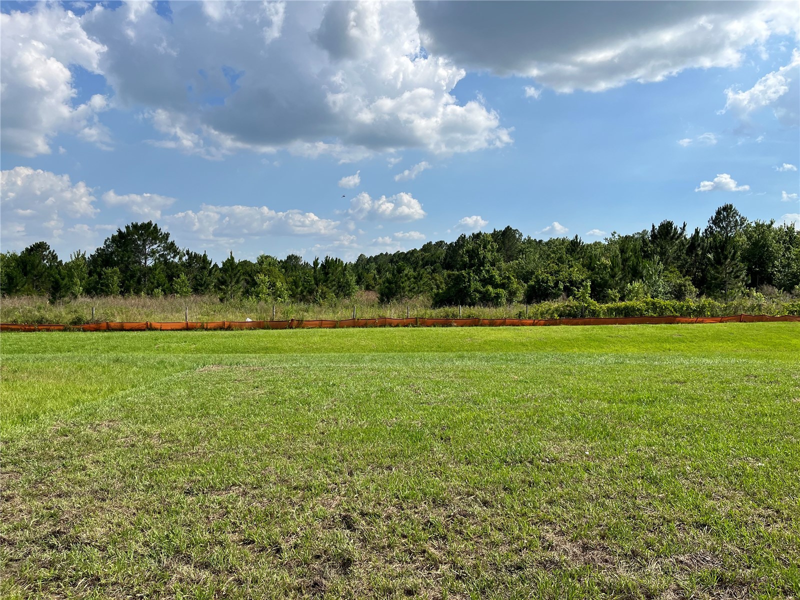1487 Fox Squirrel Drive Davenport FL 33897 V4948573 image3