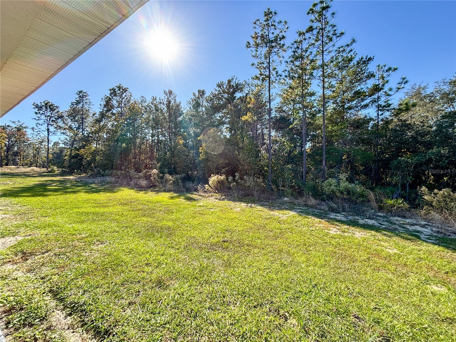 14870 SW 63rd Court Road Ocala FL 34473 OM713055 image75