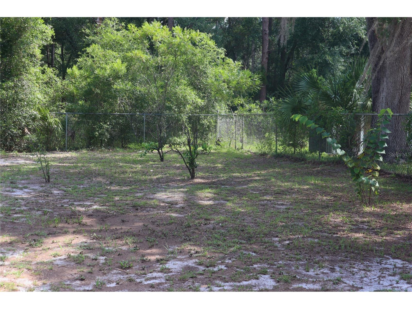 14875 NE 155th Street Fort Mc Coy FL 32134 G5114320 image11