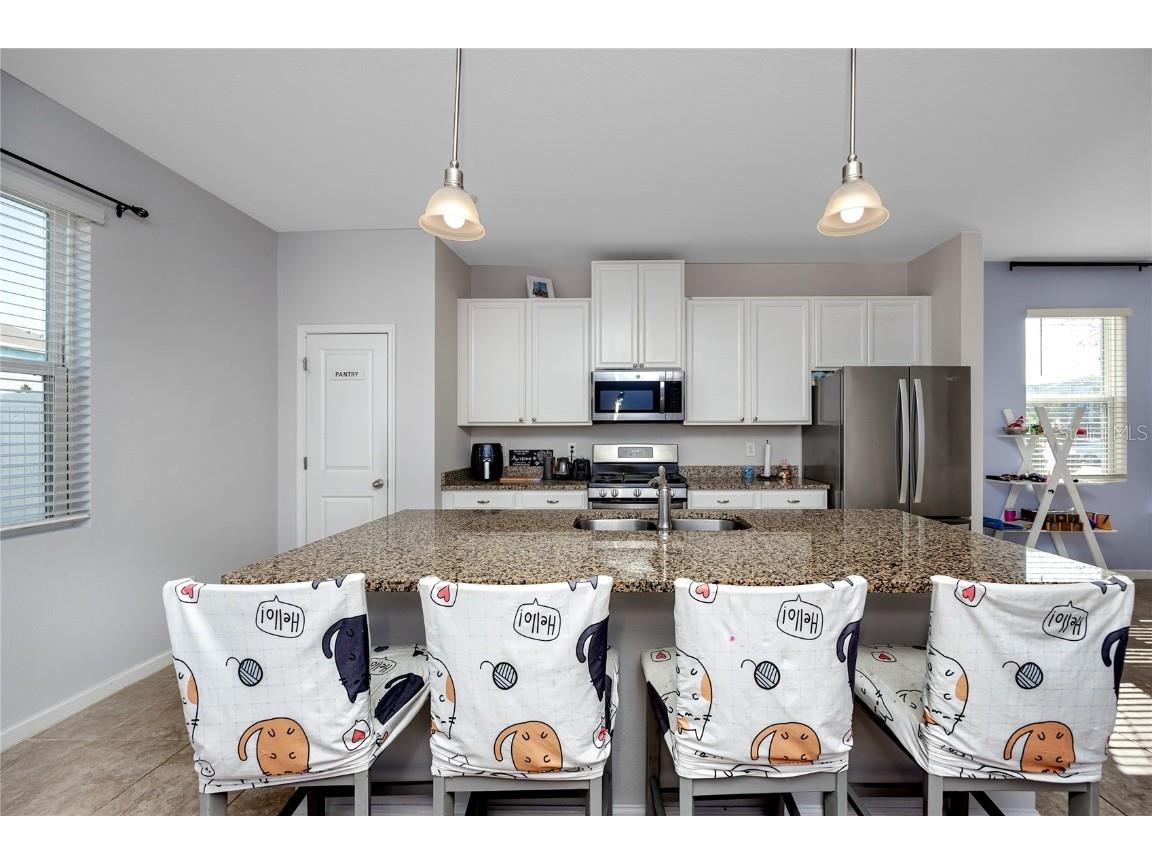 14875 Promenade Parkway Odessa FL 33556 TB8454026 image11