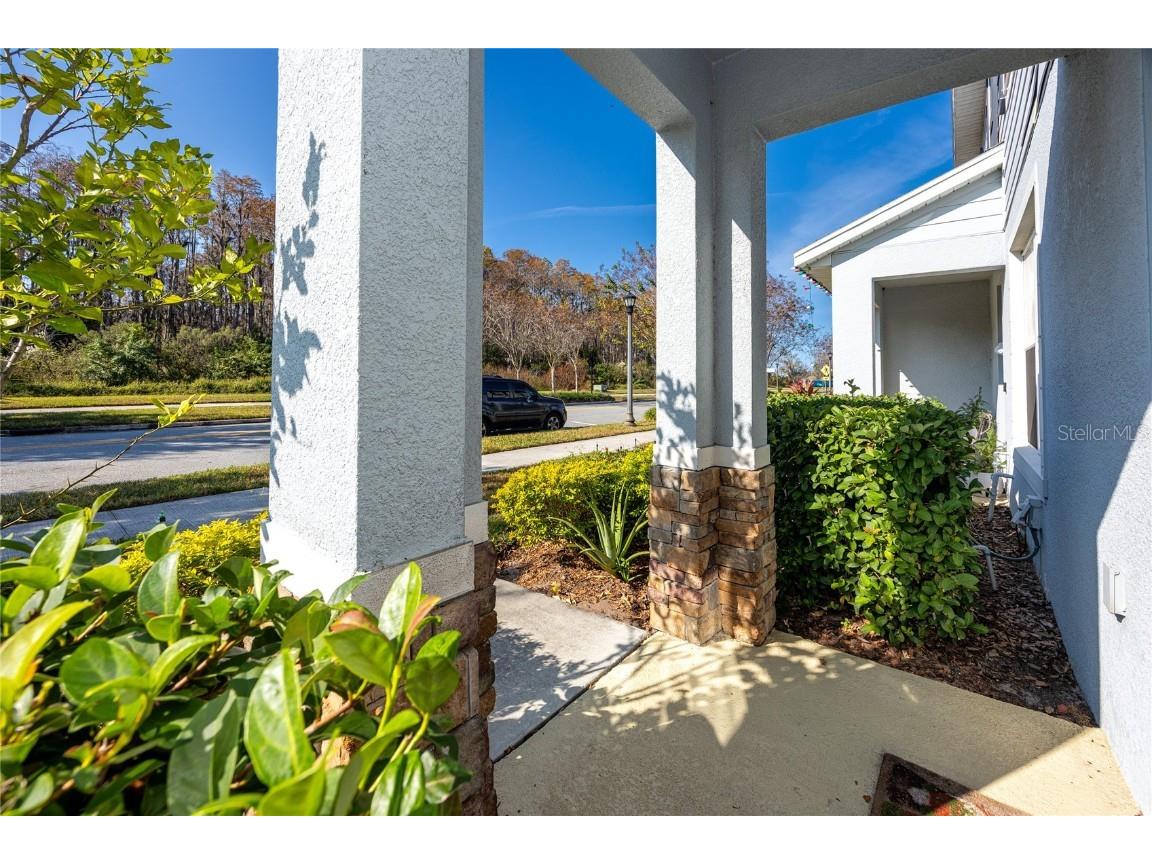 14875 Promenade Parkway Odessa FL 33556 TB8454026 image39