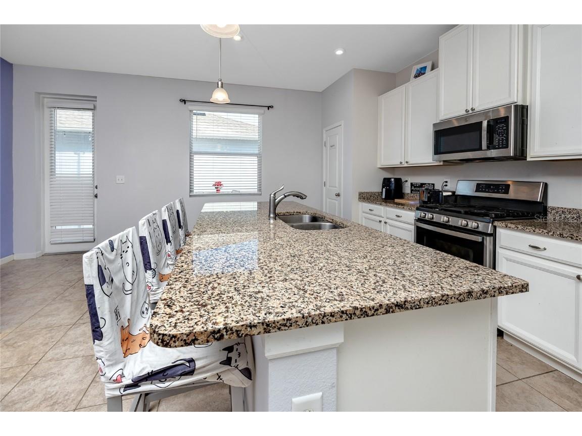 14875 Promenade Parkway Odessa FL 33556 TB8454026 image6