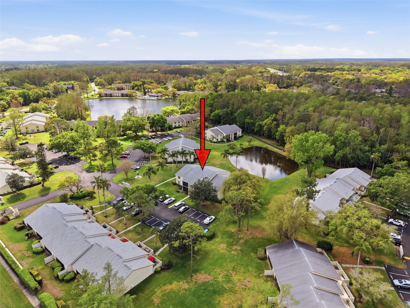 1488 Pine Glen Lane #B2 Tarpon Springs FL 34688 TB8486714 image52
