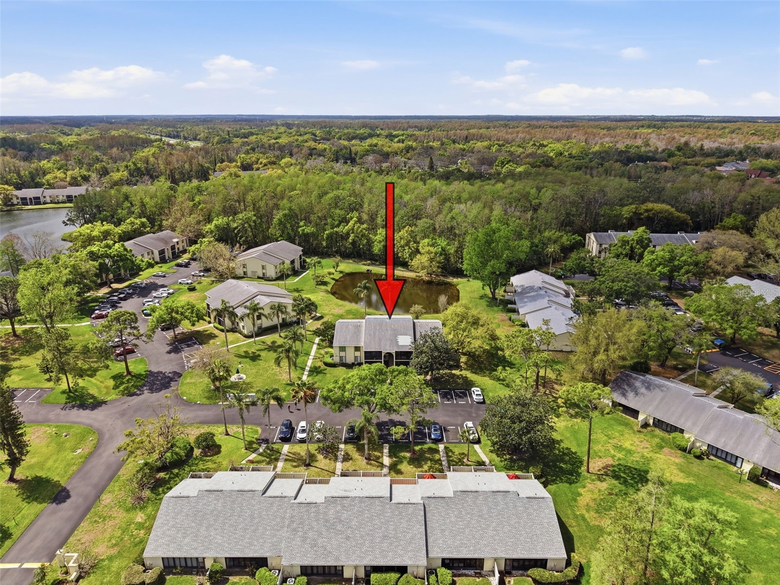 1488 Pine Glen Lane #B2 Tarpon Springs FL 34688 TB8486714 image54