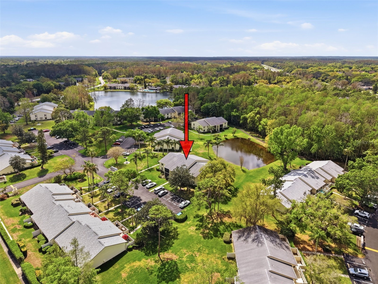 1488 Pine Glen Lane #B2 Tarpon Springs FL 34688 TB8486714 image56