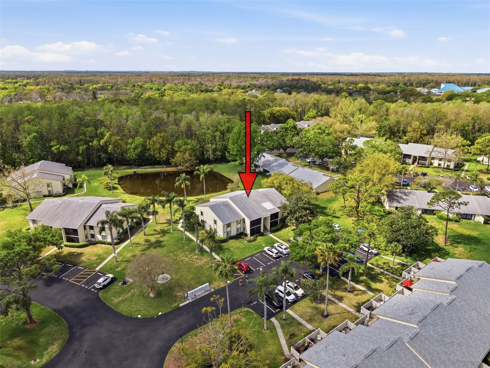 1488 Pine Glen Lane #B2 Tarpon Springs FL 34688 TB8486714 image58